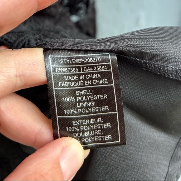 BB Dakota Calvin Scalloped Lace Dress, size 0 - Picture 11 of 12